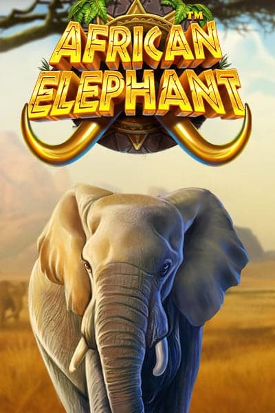 African Elephantâ˘